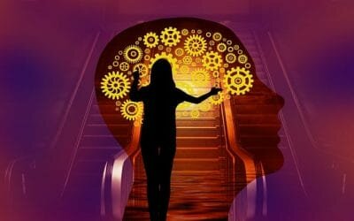 Alles Wichtige und Wissenswerte zum Idiotentest